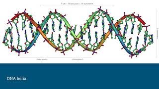 DNA The Code of Life SHA2017 [upl. by Netsryk457]