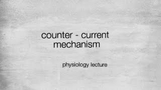 Counter current mechanism in hindi  physiology lecture [upl. by Yrod327]