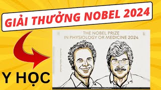 Giải thưởng Nobel Y Học 2024  Dr Hoàng NOVAGEN [upl. by Kcolttam]