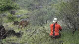 Ponos Muzzleload Lanai Axis Deer Hunt [upl. by Ennovahc]