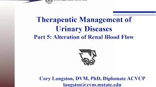 Urinary System Therapeutics Part 5 Alteration of Renal Blood Flow [upl. by Nonahs26]