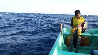 Fishing Catching Skills in Indian Ocean HANDLINE FISHING AMAZING FISHING VIDEO [upl. by Nagaem]