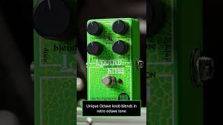 EHX Lizard King Bass Octave Fuzz [upl. by Ram]