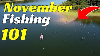 The BEST Baits To Use For November Bass Fishing [upl. by Attelocin504]