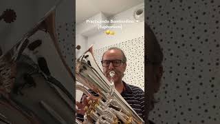 Practicando Bombardino 😀👌 trombon euphonium bombardino [upl. by Fording]