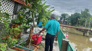 Mai Mộng Miền Tây sống ở Sài Gòn đang phát trực tiếpCha xuong xem ong bi lam hang rao cho me Mộng [upl. by Emmie]