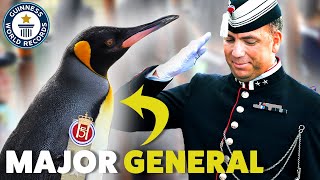 Meet Sir Nils Olav The Norwegian Armys Penguin Officer  Guinness World Records [upl. by Etteneg]