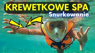 JAK SNURKOWAĆ W MORZU 🐬 🤿 🌊 [upl. by Kapoor875]