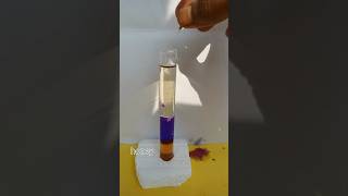 density experimentscience project shorts viral ytshorts [upl. by Trahurn]