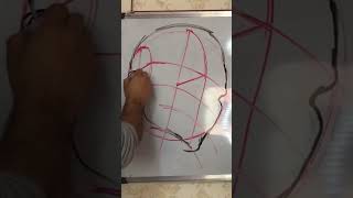 The Loomis Method of Drawing the Head a Step by Step 02 [upl. by Hakvir]