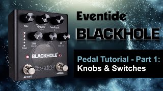 Eventide Blackhole Pedal Tutorial  Part 1 Knobs amp Switches [upl. by Eadrahs469]