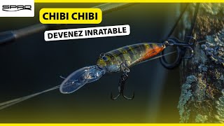 Chibi Chibi  Un Crankbait Lumineux  💡 [upl. by Jill]