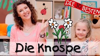 🌺 Die Knospe  Singen Tanzen und Bewegen  Kinderlieder [upl. by Ahtnams]