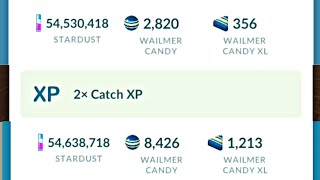 Wailmer Spotlight Hour 💥 Was Success In Pokemon Go  Got Shiny • Enough XL And Some XP In Pokemon Go [upl. by Kaia194]