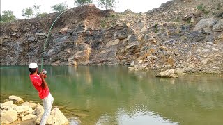 Fishing Hunting  Amazing Catching  Big Snakehead Black Fishes  Unique Fishes Catching🐬🐬🐬 [upl. by Samaj]