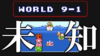 裏条件で全クリすると誰も知らない裏ステージ91に行くことが出来ます【スーパーマリオブラザーズ2】11 [upl. by Atsocal]