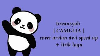 Irwansyah Camelia speed up Lirik lagu [upl. by Ikcin]