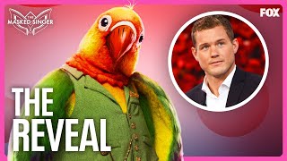 The Reveal Colton Underwood is Lovebird  Season 11  The Masked Singer [upl. by Bessie]