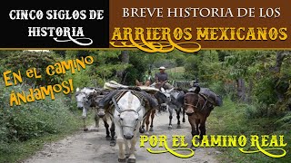 BREVE HISTORIA DE LOS ARRIEROS MEXICANOS [upl. by Ahaelam]