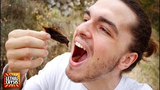 Mi primera vez COMIENDO INSECTOS GIGANTES [upl. by Elysee]