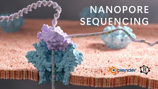 Nanopore sequencing animation [upl. by Aesoh766]