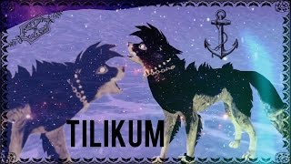 Feralheart  Tilikum [upl. by Corder350]