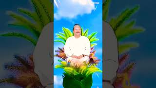 Mohe Lage lagan guru charnan ke beautiful video  shree Prem Rawat ji 💐⭐♥️🌹👍♥️⭐ [upl. by Ainitsirc]