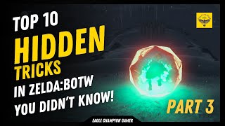 Top 10 Hidden Tricks in Zelda BOTW  Part 3 Infinite Rupees and Master Shield Surfing [upl. by Nathalia794]