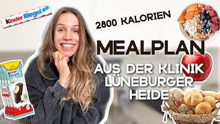 1 Tag essen wie in der Klinik Lüneburger Heide  Recovery Essstörungen 📋 2800 Kalorien [upl. by Wichern]