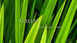 quotGreenquot acoustic guitar original Dowina Chardonnayambient loop 6 [upl. by Aniretak]