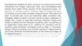 Description of Immature Stages of the Brown Dog Tick Rhipicephalus Sanguineus Acari Ixodidae Using S [upl. by Beatty86]