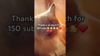 tysm subs cat [upl. by Severson]