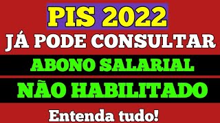 PIS não habilitado na Carteira de Trabalho Digital Como fazer a consulta do PIS 2022  Abono do PIS [upl. by Aleina]