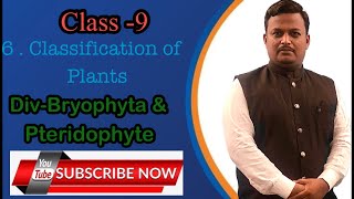 Class9Classification of plants DivBryophyta amp Pteridophyta [upl. by Sherrill]