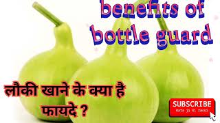 health benefits of bottle guard  लौकी खाने के स्वास्थ्य लाभ क्या है आइए जानते हैं [upl. by Stover]