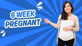 6 Week Pregnant Symptoms Development and Tips [upl. by Regine]