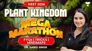 Plant Kingdom in One Shot  Mega Marathon  NEET 2024  Dr Gargi Singh [upl. by Florentia]