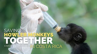 Saving Howler Monkeys Together in Costa Rica [upl. by Elsey36]