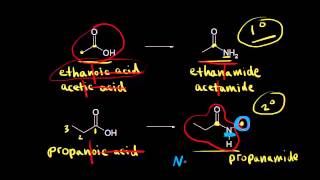 Nomenclature and properties of amides  Organic chemistry  Khan Academy [upl. by Aicetel811]