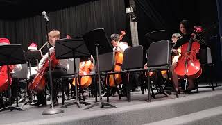 School concert  Orchestra cello [upl. by Airotahs]