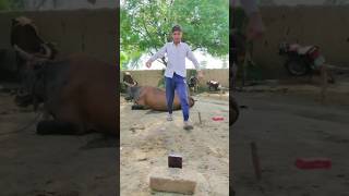 Funny Videos  Citizen Entertainment Comedy Video 62 Part 060 comedy [upl. by Rech]