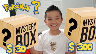 Pokemon Mystery Box CKN [upl. by Enyawd]