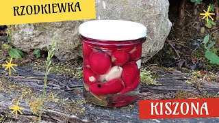 Kiszona rzodkiewka  przepis [upl. by Makell895]