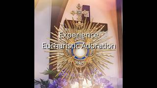 Assumption Parish Walkinstown Eucharistic Adoration [upl. by Aihsilef]