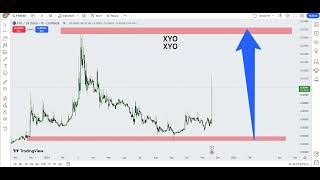 XYO XYO Crypto Price Prediction 2024 [upl. by Brenden]