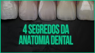 Anatomia dental 4 segredos que todo dentista precisa saber [upl. by Mairhpe]