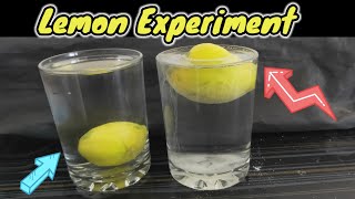 Amazing water Density Experiment with Lemon  water Experiment  by experiment a to z 20 [upl. by Uziel]