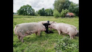 Kleine Doku über Gut Weidensee von Dr Mark Benecke 📽️🎞️🐾 [upl. by Arries]