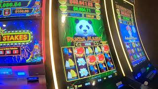 Dragon Cash Panda Magic Autumn Moon Slot Machine Play Bonuses Free Games Fun Play [upl. by Jehius]