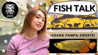 HELLO 24 KARAT GOLDEN AROWANA  Kalokohan sa Bahay Fish Talk Philippines [upl. by Coughlin874]